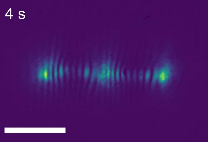 Materials that Compute