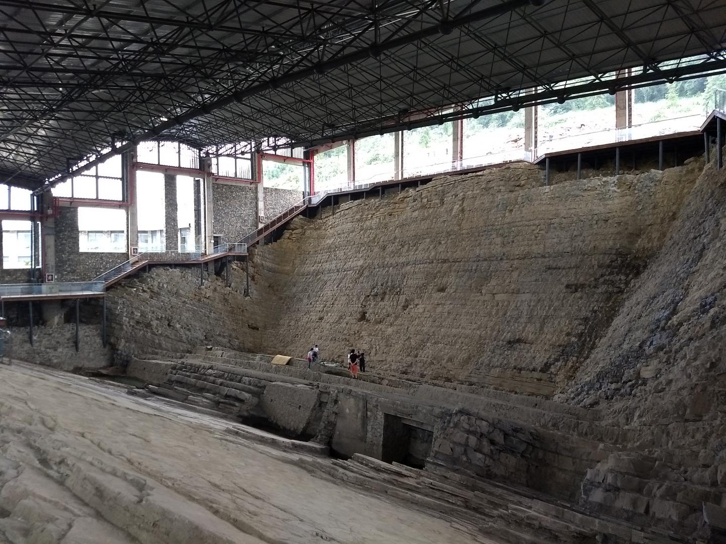 The dig site where the fossils were found