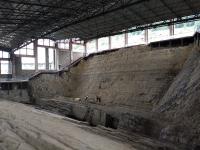 The dig site where the fossils were found
