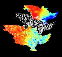 River Networks and Biodiversity
