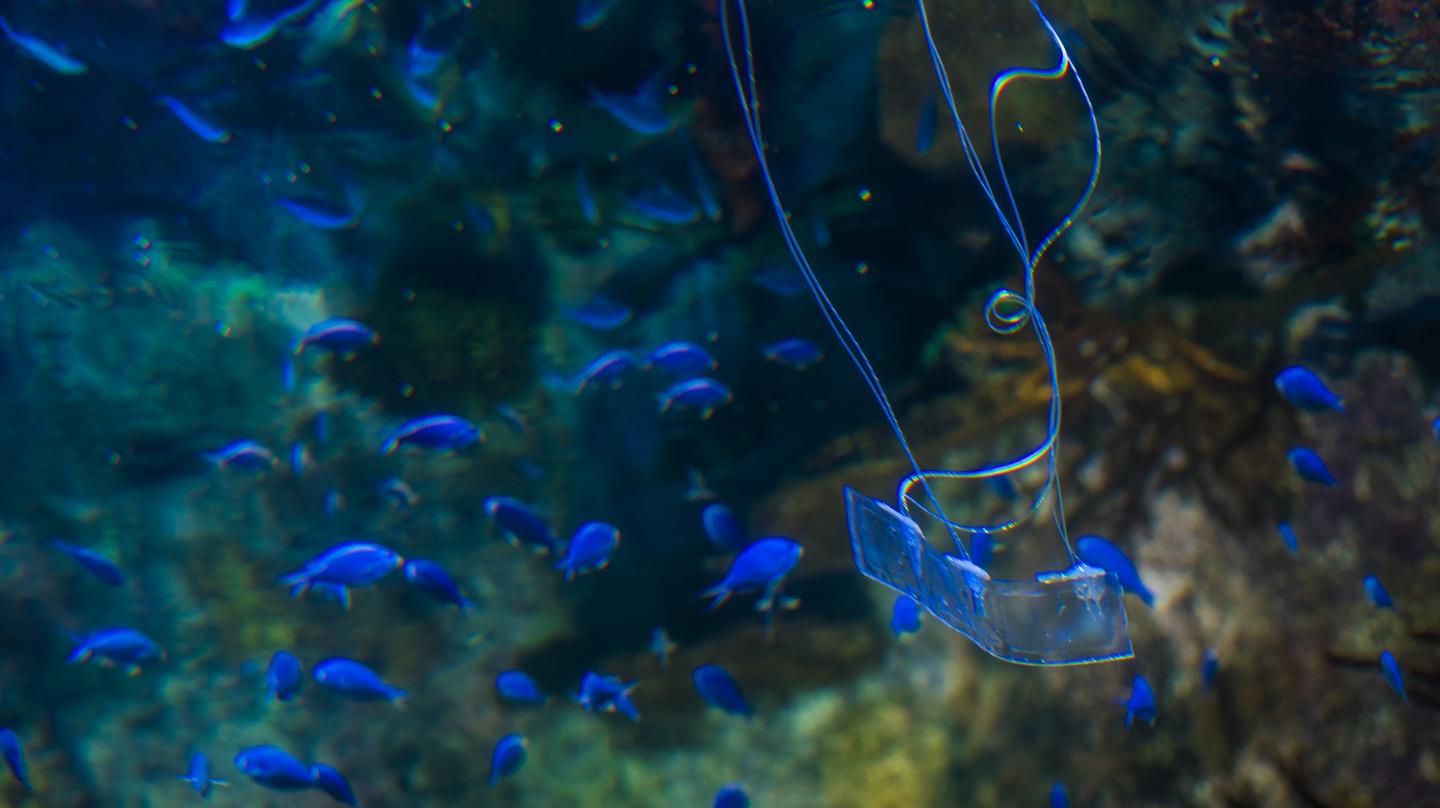 Robot in Aquarium Tank with Fish and Coral