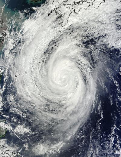 MODIS Captures Francisco