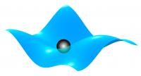A Ripplopolaron