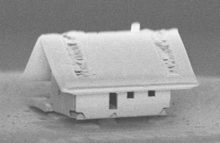 Microhouse Roof