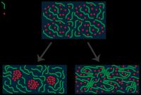 Co-Solvent on the Solution of 2 Plastic Components