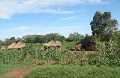 Village