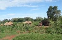 Village