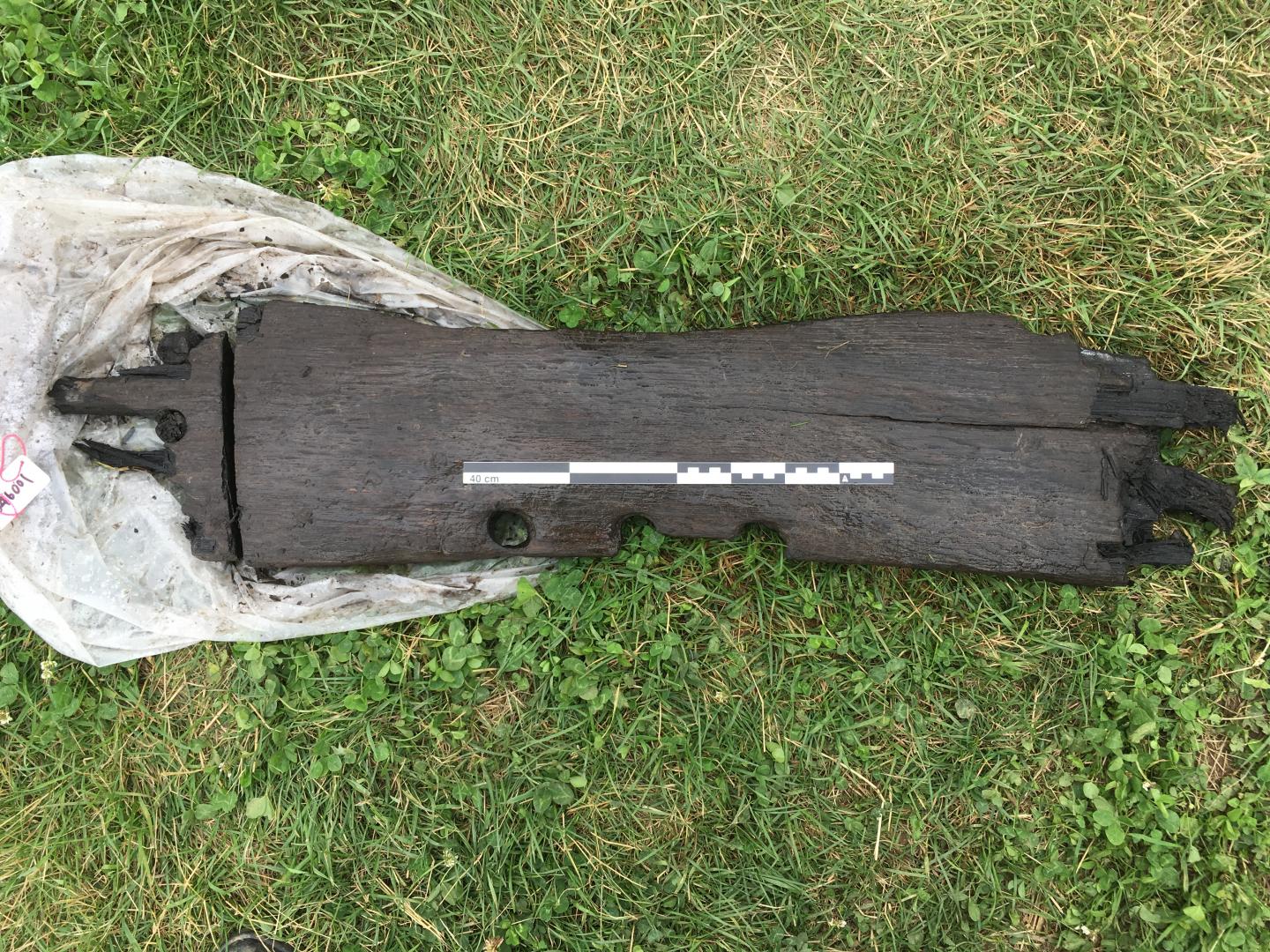 The Carved Oak Timber Object