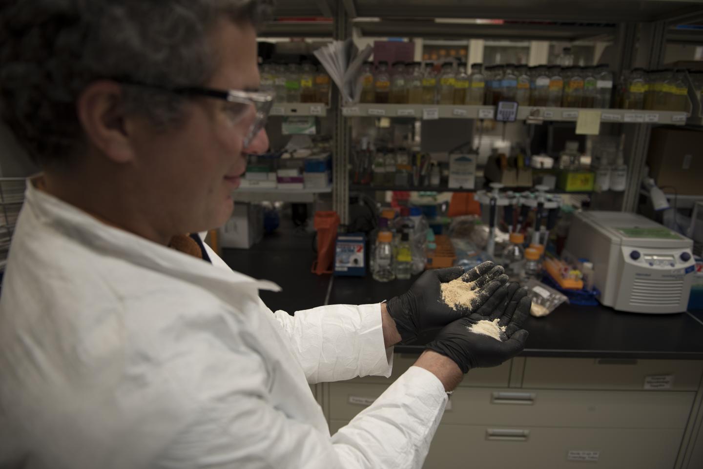 A Better Way to Mop up Oil Spills