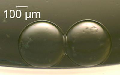 Synthetic Cells Act As Battery