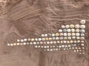 Limpets only, size-sorted