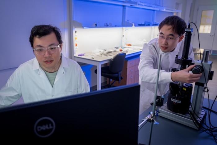 researchers