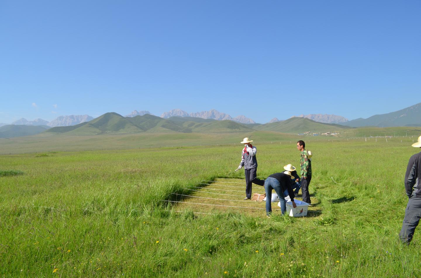 Humped-Back Model of Plant Diversity Withstands Controversy (2 of 12)
