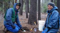 Joyce Eberhart and Dan Luoma, Oregon State University
