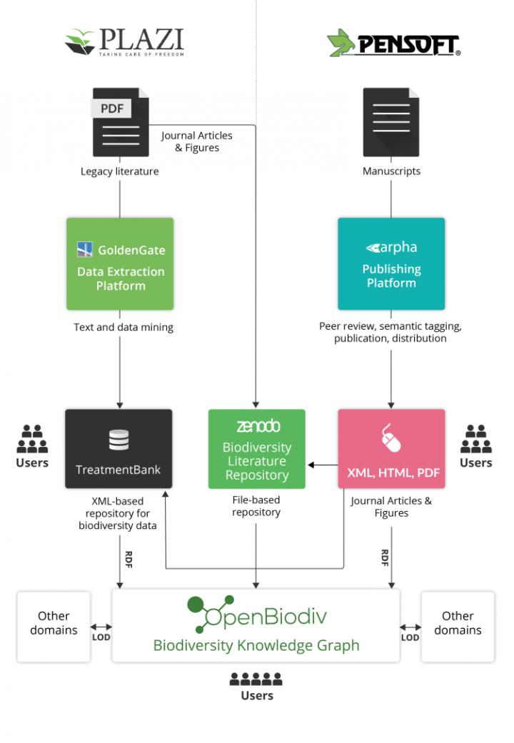 Automated Biodiversity Data Mining Workflow