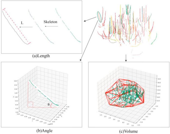 Figure 6. Determination of parameters from shoots point clouds.