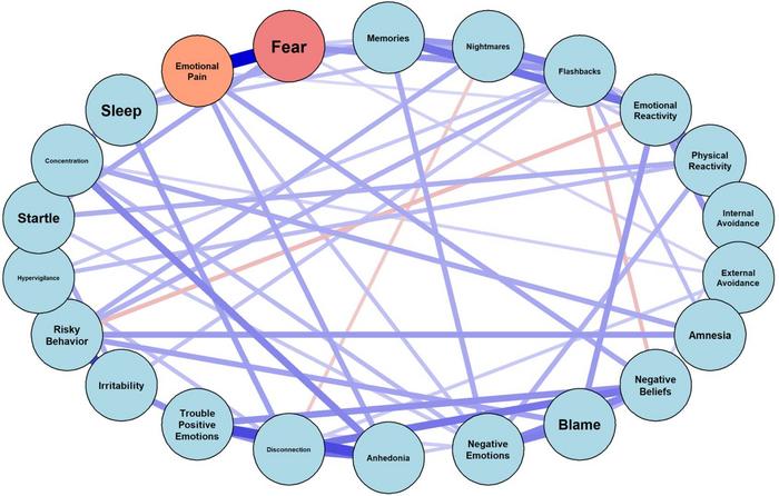 Dissecting Fear and Emotional Pain in PTSD: From Symptom Networks to Neural Signatures