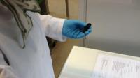 Latex Mouse Film