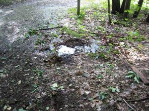 Seepage and Surface Runoff