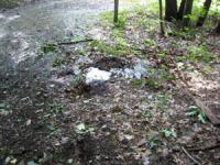 Seepage and Surface Runoff