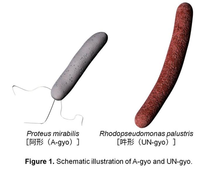 Figure1_MiyakoE_20250728