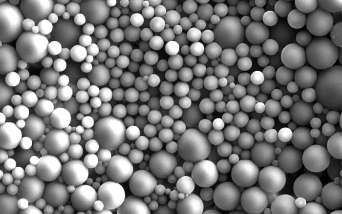 Pearl-like calcium granules stored within the tubule lumen