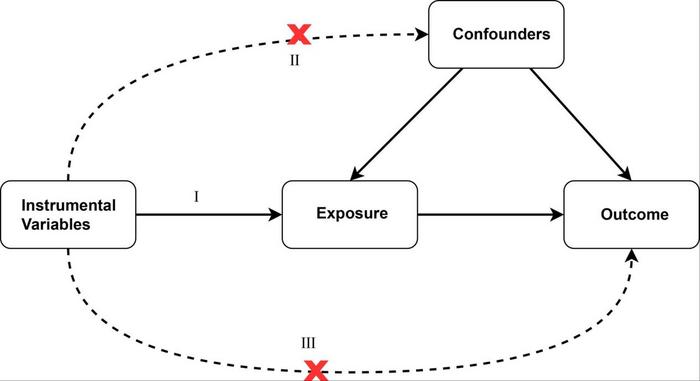 Methodology of bidirectional MR analysis.