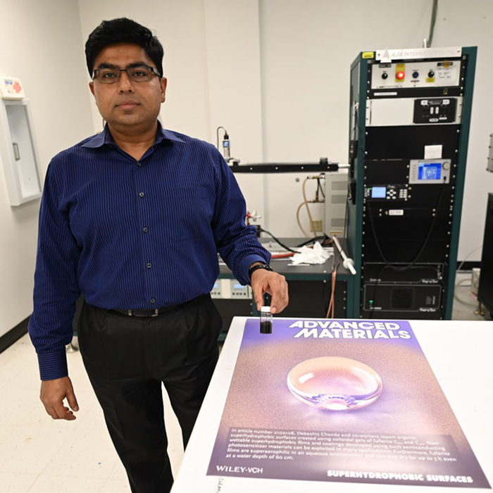Professor Chanda Debashis