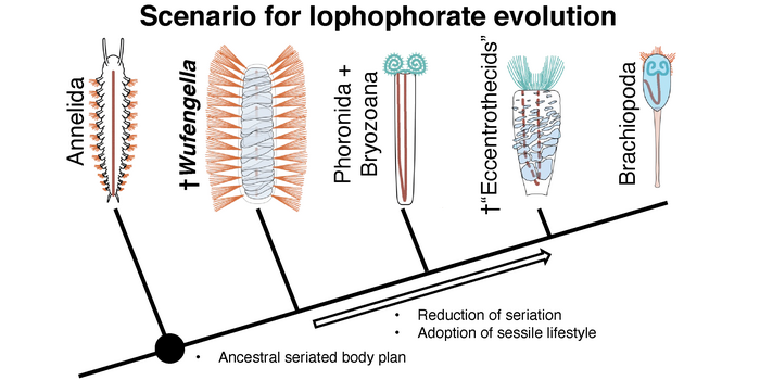 Schematic outline