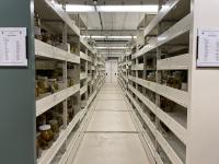 Fish collections
