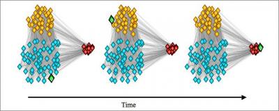 Brain Network Flexibility