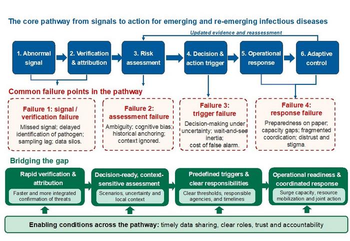 From signals to action: Where infectious disease risk assessment can fail—and how to bridge the gaps
