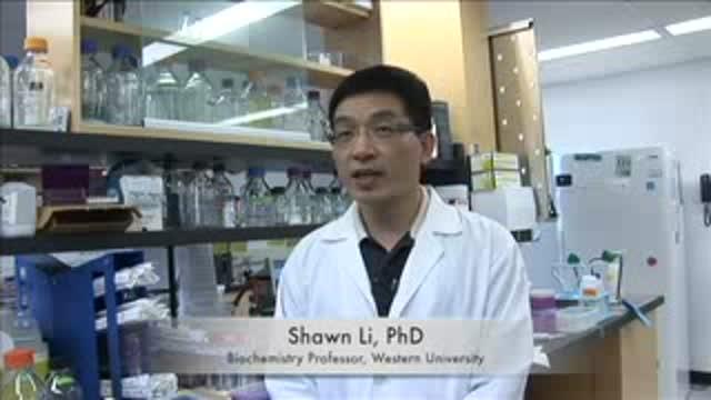 Research Identifies a Way to Make Cancer Cells More Responsive to Chemotherapy