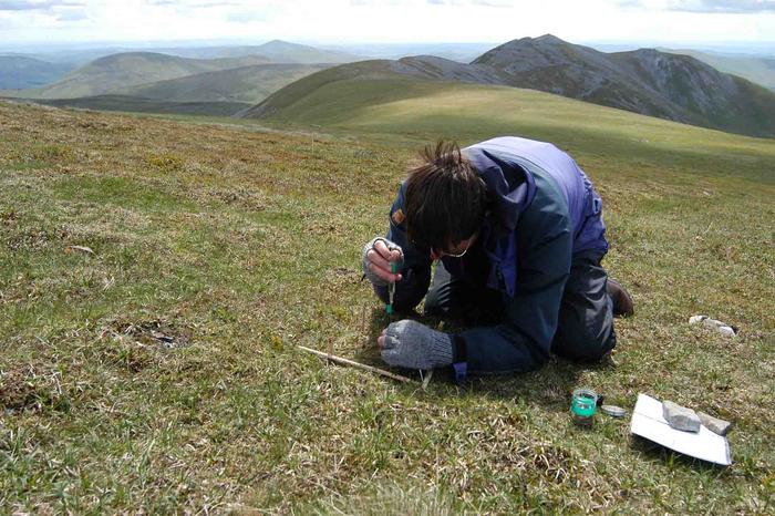 Field research into nutrient sharing in alpine environments