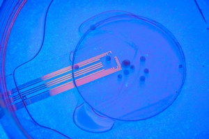 Microelectrode arrays made from transparent graphene
