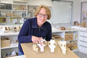 Vera Weisbecker
