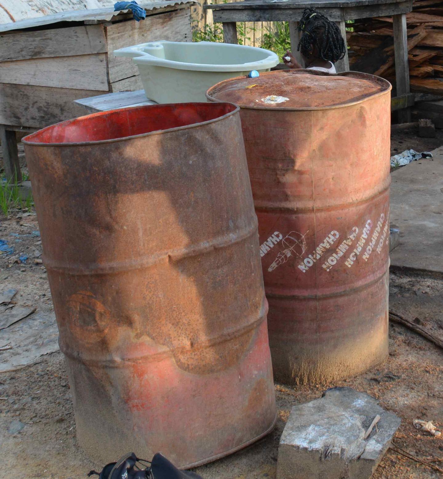 Exposing Mosquito Larvae to Certain Bacteria May Deter Dengue Transmission (7 of 7)