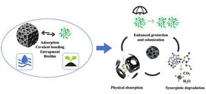 Biochar-supported microbial systems: a strategy for remediation of persistent organic pollutants