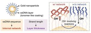 KAIST Turns DNA from Genetic Information Carrier into Energy Designer, Improving Catalyst Performance​