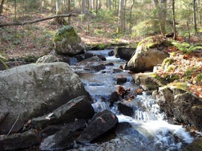 Stream Photo
