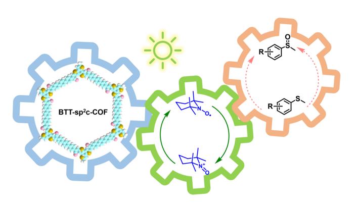 Merging benzotrithiophene covalent organic framework photocatalysis with TEMPO for selective oxidation of organic sulfides