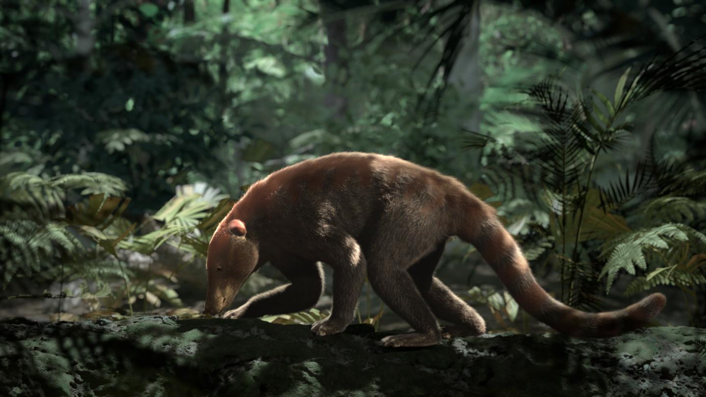 New Colorado Fossil Record Documents Life's Rebound After Cretaceous-Paleogene Extinction (11 of 12)