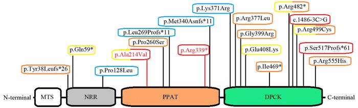 Fig1