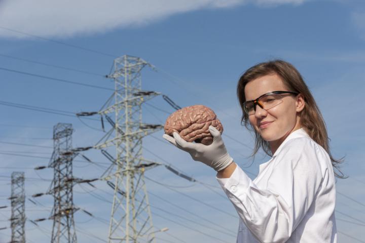 Neurotransmission Understanding