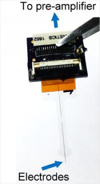 Multi-area brain monitoring probe