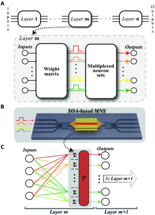 An optical neural network using wavelength division multiplexing and multiplexed neuron sets.