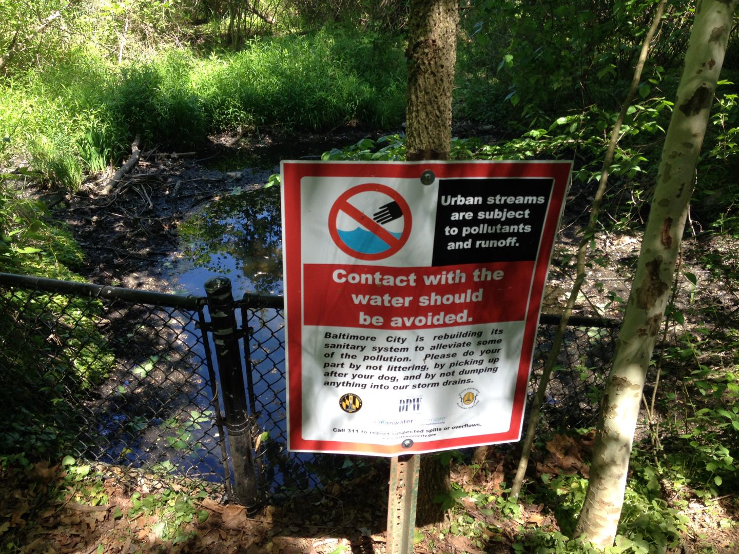 Urban Streams Have Higher Levels of Contaminants