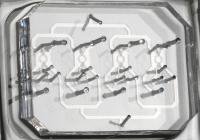 A Microfluidic Chip