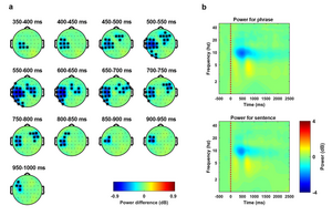 Fig 5. Alpha-band inhibition suggests a separation between phrases and sentences