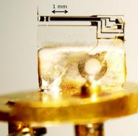 Sensor